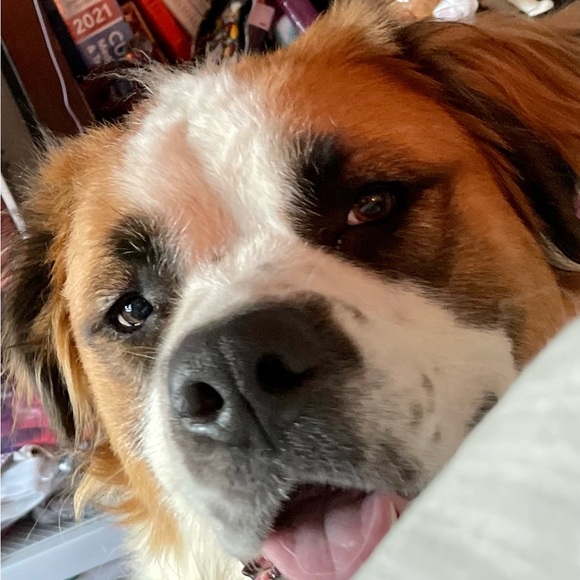 COPY - Live show Hosted by hatchimom 1215 central - Picture 3 of 7